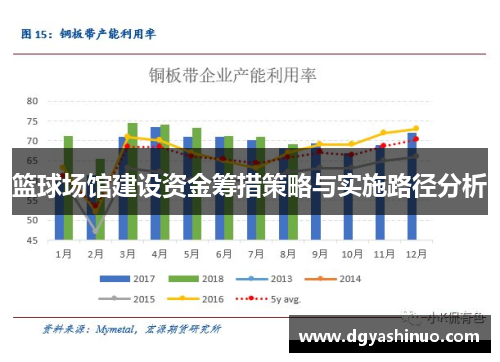 篮球场馆建设资金筹措策略与实施路径分析